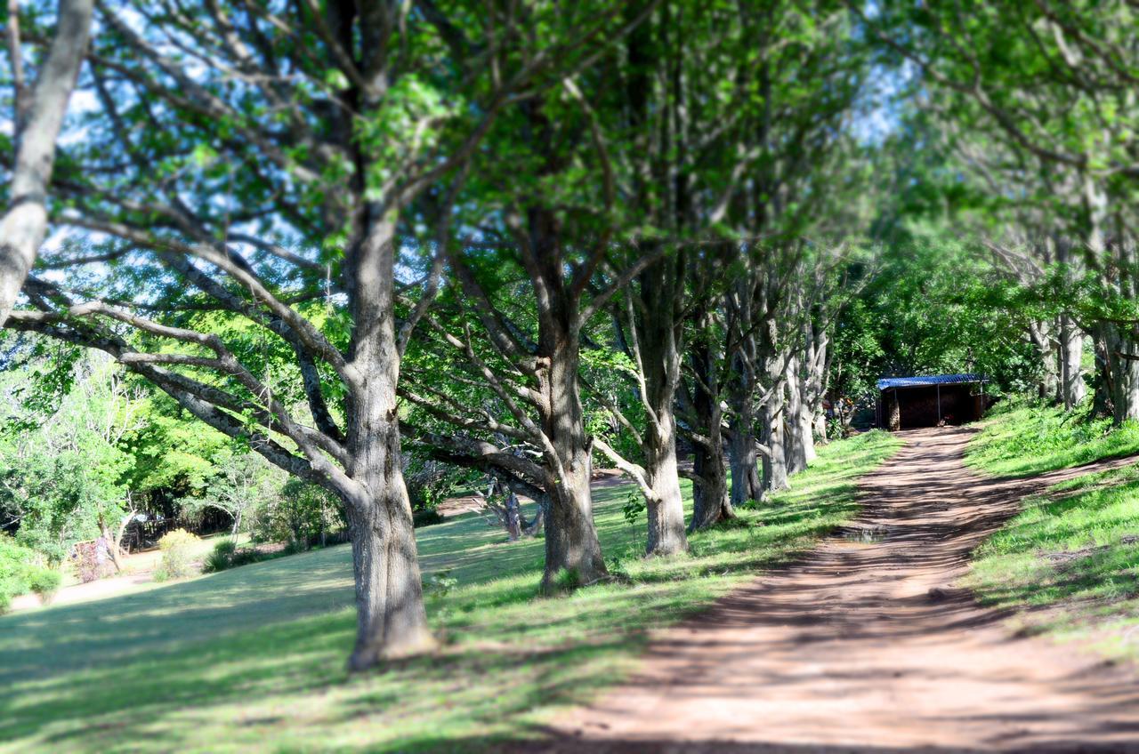 Phezulu Safari Park Villa Botha's Hill Bagian luar foto