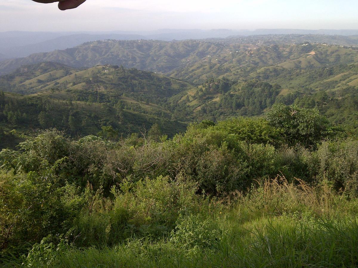 Phezulu Safari Park Villa Botha's Hill Bagian luar foto