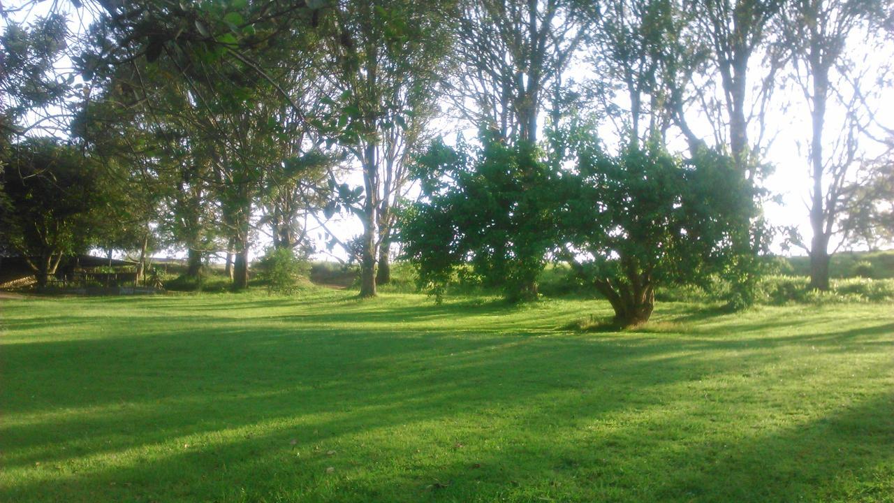 Phezulu Safari Park Villa Botha's Hill Bagian luar foto